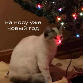 Зрелость — это способность самим дать себе то, чего вы когда-то ждали от других